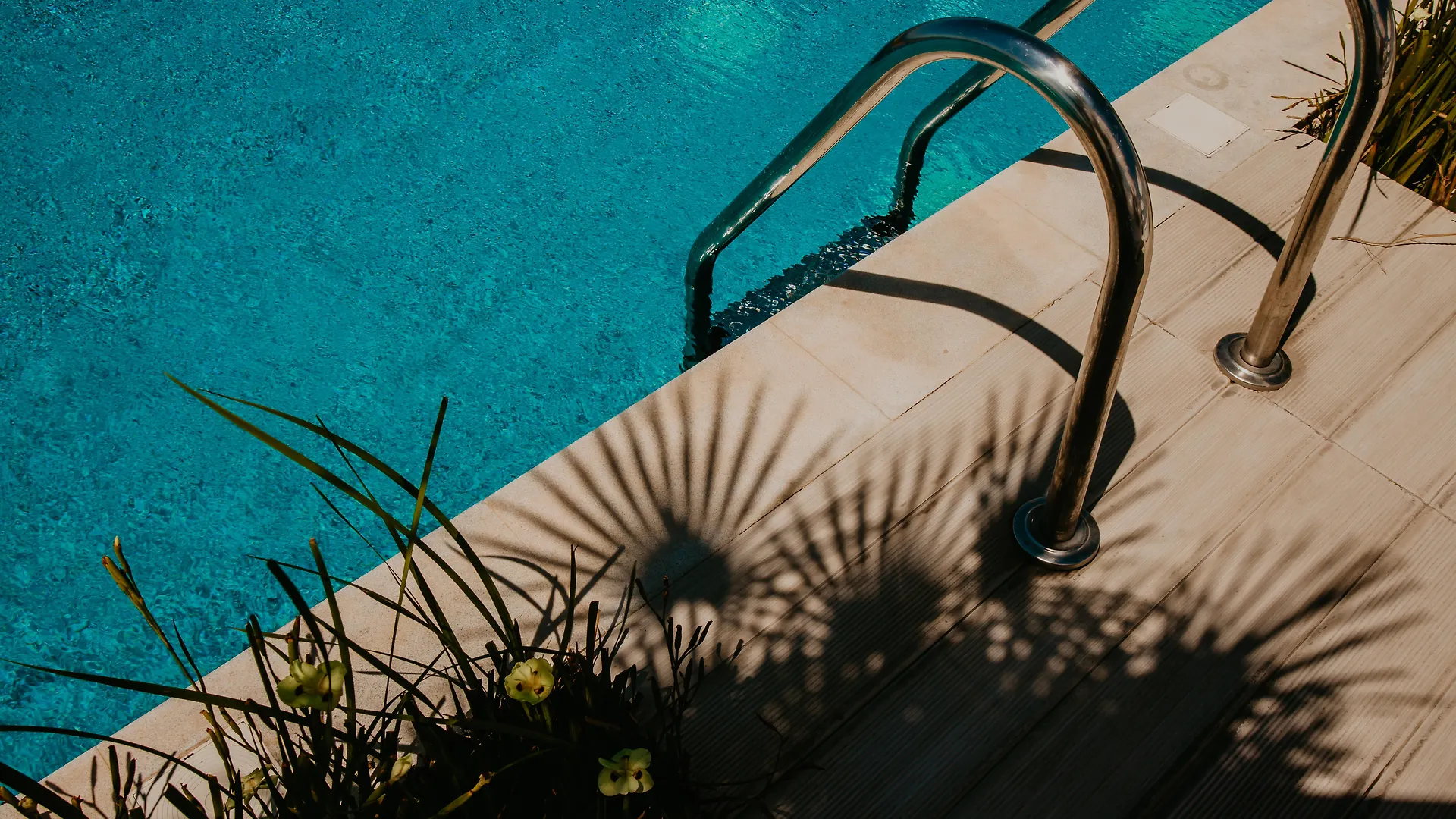 Hotel Napa Suites (Adults Only) Ayia Napa